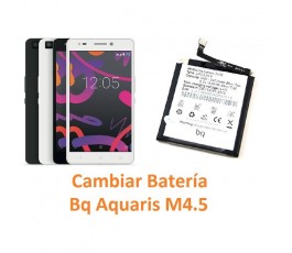 Cambiar Batería Bq Aquaris M4.5 - Imagen 1