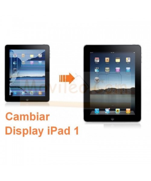 Cambiar Pantalla Lcd Display iPad-1 - Imagen 1