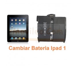 Cambiar Bateria iPad-1 - Imagen 1