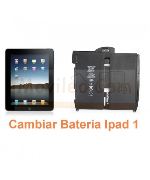 Cambiar Bateria iPad-1 - Imagen 1