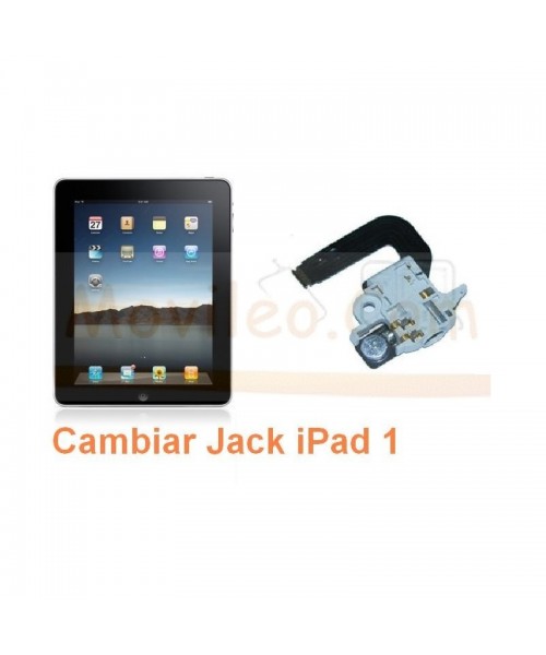 Cambiar Jack iPad-1 - Imagen 1