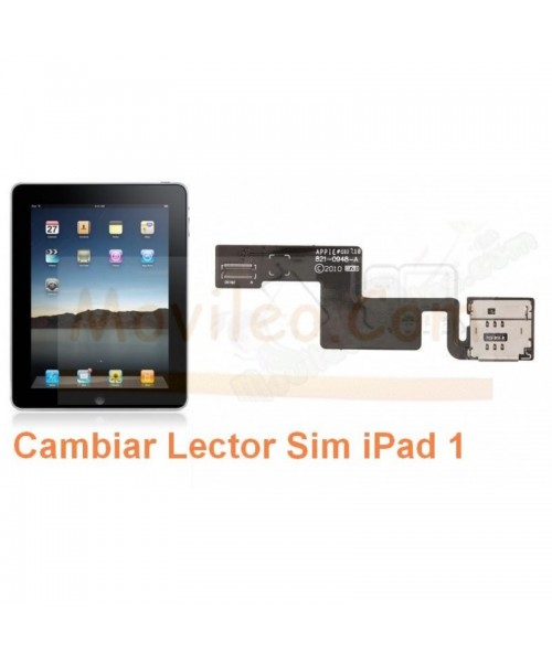 Cambiar Lector Sim iPad-1 - Imagen 1