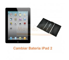 Cambiar Bateria iPad-2 - Imagen 1