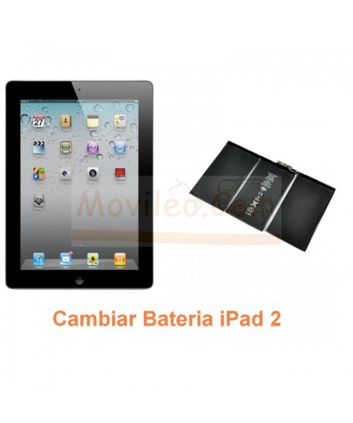 Cambiar Bateria iPad-2 - Imagen 1