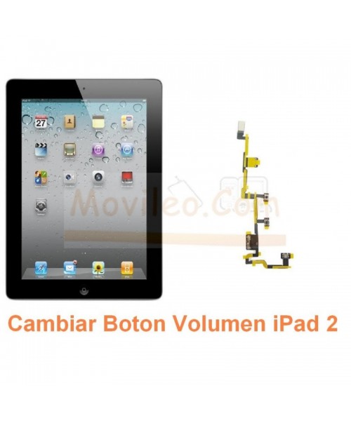 Cambiar Boton Volumen iPad-2 - Imagen 1