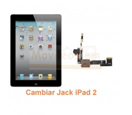 Cambiar Jack iPad-2 - Imagen 1