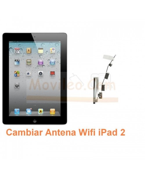 Cambiar Antena Wifi iPad-2 - Imagen 1