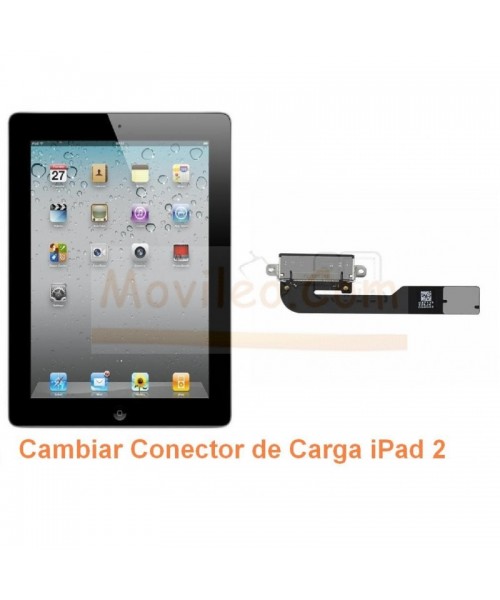 Cambiar Conector de Carga iPad-2 - Imagen 1