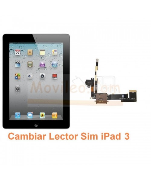 Cambiar Lector Sim iPad-3 - Imagen 1