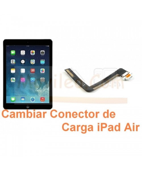 Cambiar Conector de Carga iPad Air - Imagen 1