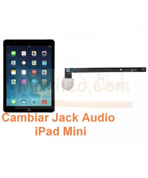 Cambiar Jack Audio iPad Air - Imagen 1
