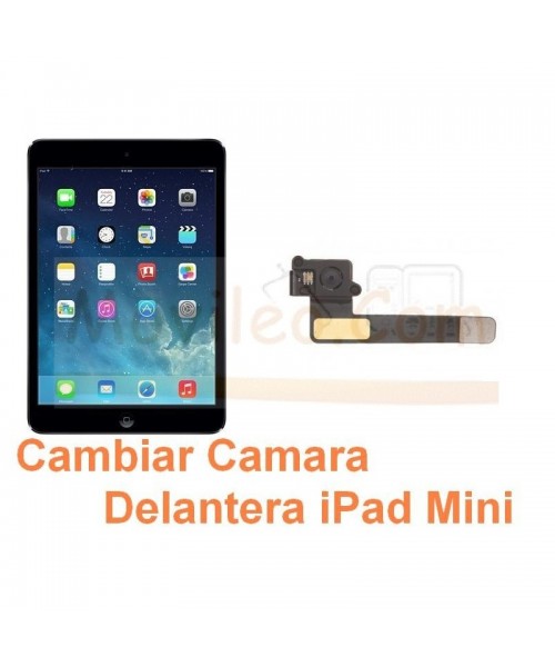 Cambiar Camara Delantera iPad Mini - Imagen 1