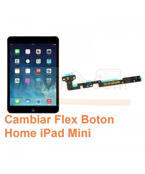 Cambiar Flex Boton Home iPad Mini - Imagen 1