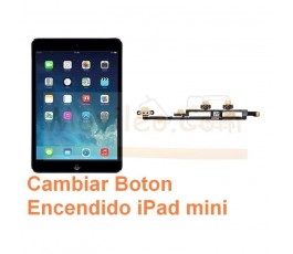 Cambiar Boton Encendido iPad Mini - Imagen 1