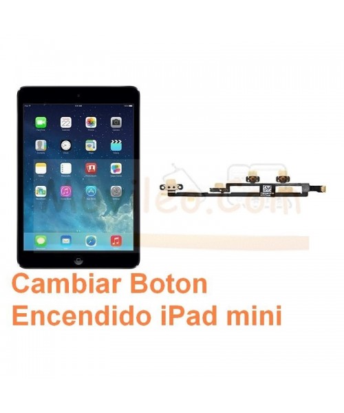 Cambiar Boton Encendido iPad Mini - Imagen 1