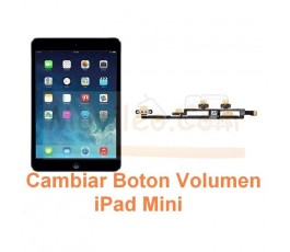 Cambiar Boton Volumen iPad Mini - Imagen 1