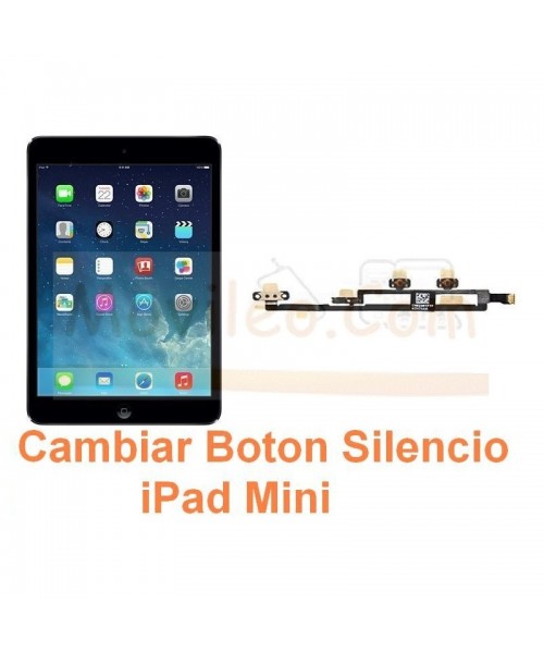 Cambiar Boton Silencio iPad Mini - Imagen 1