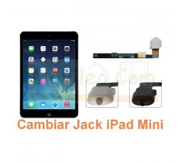 Cambiar Audio Jack iPad Mini - Imagen 1