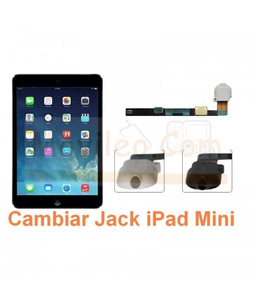 Cambiar Audio Jack iPad Mini - Imagen 1
