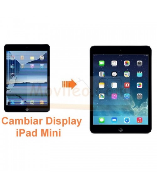 Cambiar Pantalla Lcd Display iPad Mini - Imagen 1