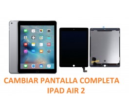 Cambiar Pantalla Completa Ipad Air 2 A1566, A1567