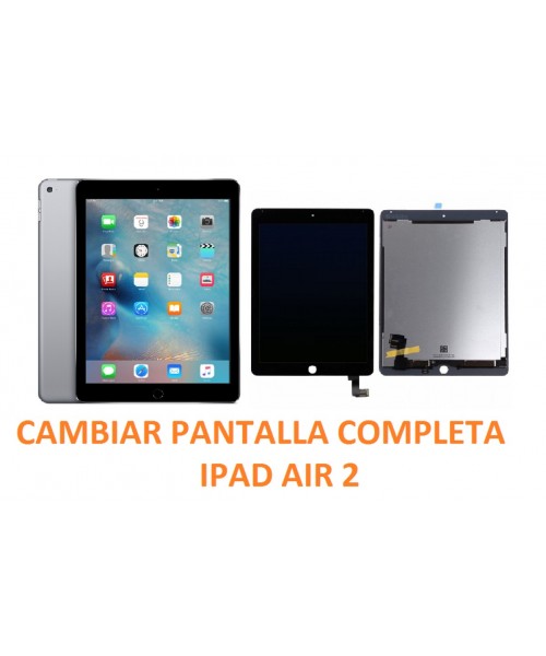 Cambiar Pantalla Completa Ipad Air 2 A1566, A1567