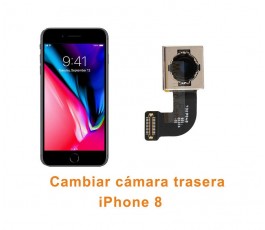 Cambiar cámara trasera iPhone 8