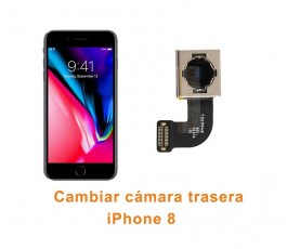 Cambiar cámara trasera iPhone 8