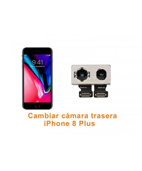 Cambiar cámara trasera iPhone 8 Plus