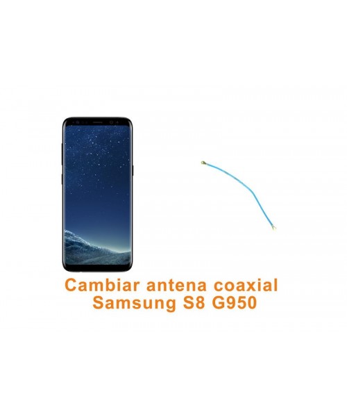 Cambiar antena coaxial Samsung Galaxy S8 G950