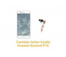 Cambiar lector huella Huawei Ascend P10