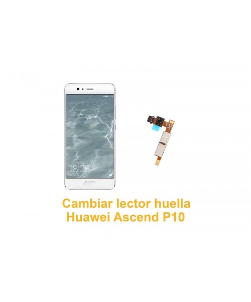 Cambiar lector huella Huawei Ascend P10