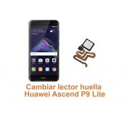 Cambiar lector huella Huawei Ascend P9 Lite
