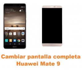 Cambiar pantalla completa Huawei Mate 9