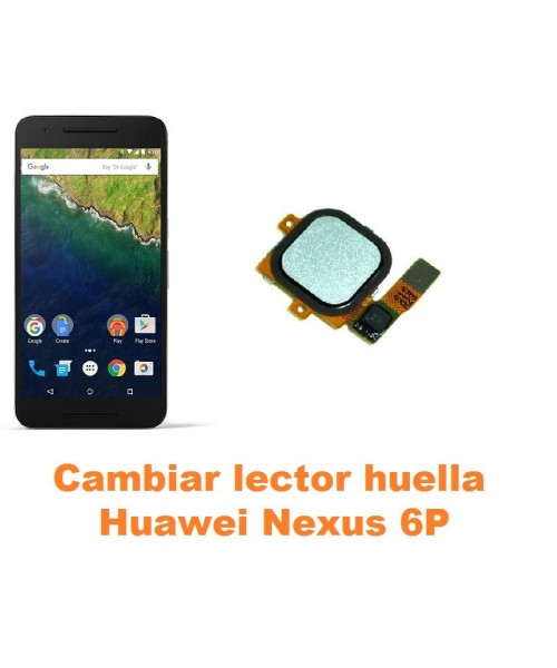 Cambiar lector huella Huawei Nexus 6P