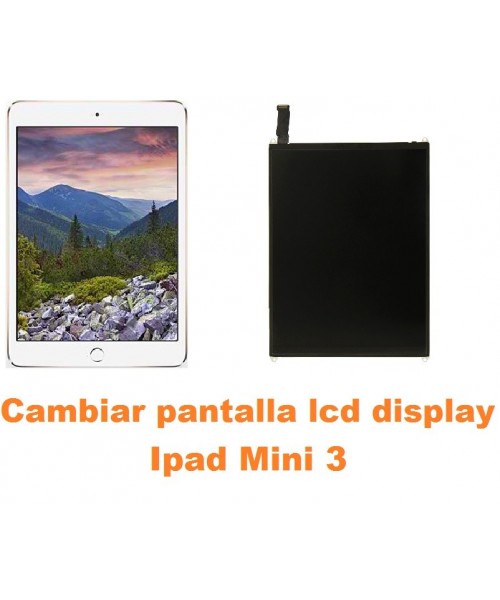 Cambiar pantalla lcd display Ipad Mini 3