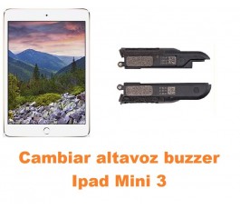 Cambiar altavoz buzzer Ipad Mini 3