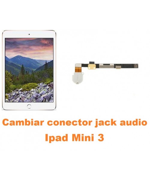 Cambiar conector jack Ipad Mini 3