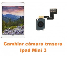 Cambiar cámara trasera Ipad Mini 3