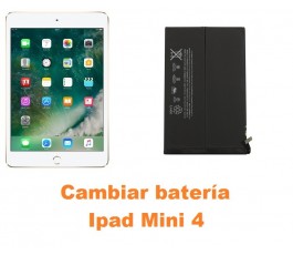 Cambiar batería Ipad Mini 4