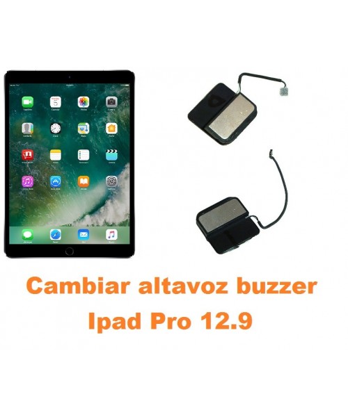 Cambiar altavoz buzzer Ipad Pro 12.9