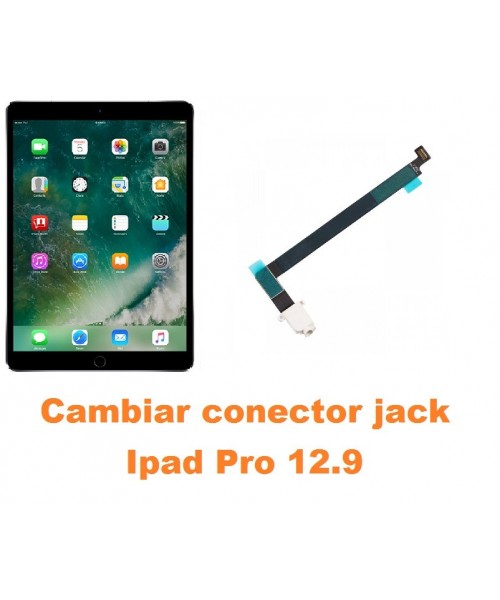 Cambiar conector jack Ipad Pro 12.9