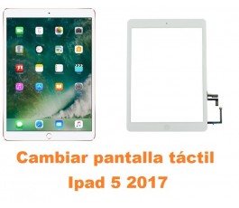 Cambiar pantalla táctil cristal Ipad 5 2017 A1822 A1823