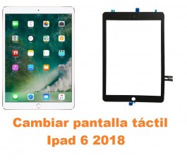 Cambiar pantalla táctil cristal Ipad 6 2018 A1893 A1954