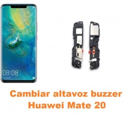 Cambiar altavoz buzzer...