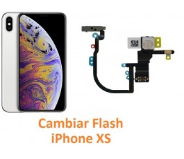 Cambiar flash iPhone XS