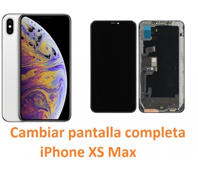 Pantalla Completa iPhone XS Max (OLED)