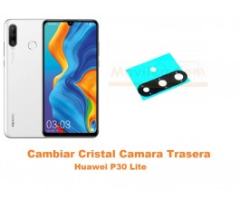 Cambiar Cristal Camara...