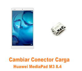 Cambiar Conector Carga...