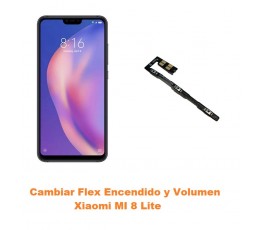 Cambiar Flex Encendido y...